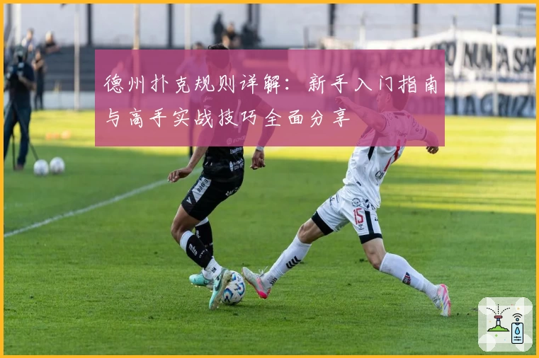 德州扑克规则详解：新手入门指南与高手实战技巧全面分享