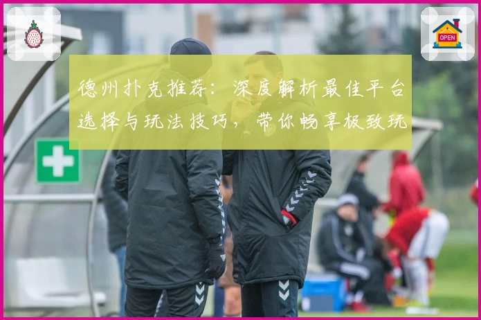德州扑克推荐：深度解析最佳平台选择与玩法技巧，带你畅享极致玩家体验