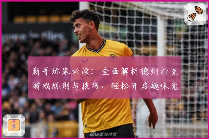 新手玩家必读：全面解析德州扑克游戏规则与技巧，轻松开启趣味竞技之旅