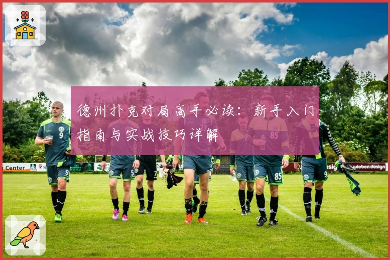 德州扑克对局高手必读:新手入门指南与实战技巧详解
