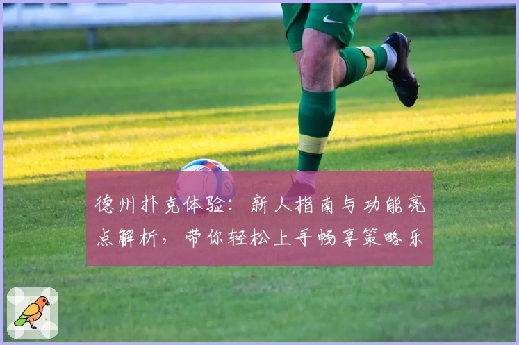 德州扑克体验：新人指南与功能亮点解析，带你轻松上手畅享策略乐趣