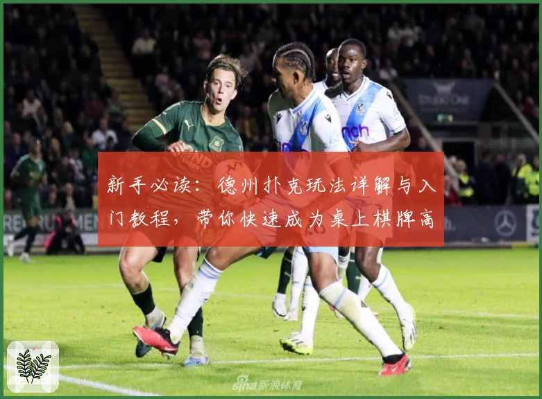 新手必读：德州扑克玩法详解与入门教程，带你快速成为桌上棋牌高手